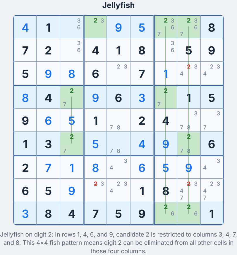 Jellyfish Sudoku technique — four rows and four columns forming a fish pattern to eliminate candidates